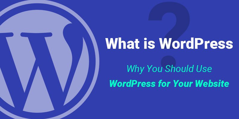 What is WordPress Guide for Beginners