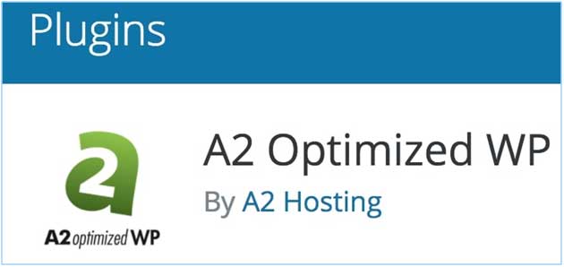 A2 Optimized WP Plugin